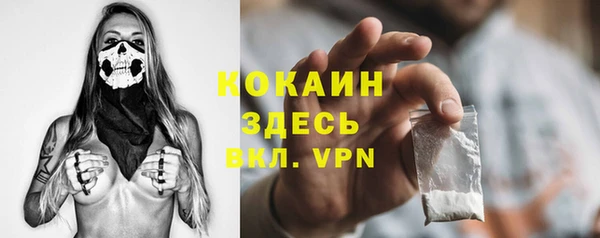 молекула духа Нефтекумск