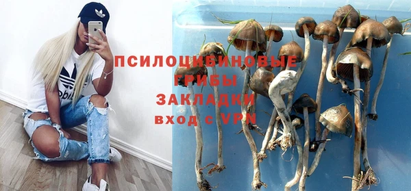 молекула духа Нефтекумск