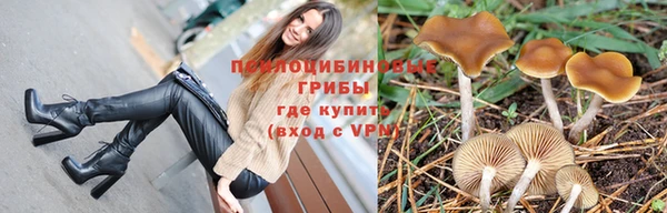 молекула духа Нефтекумск