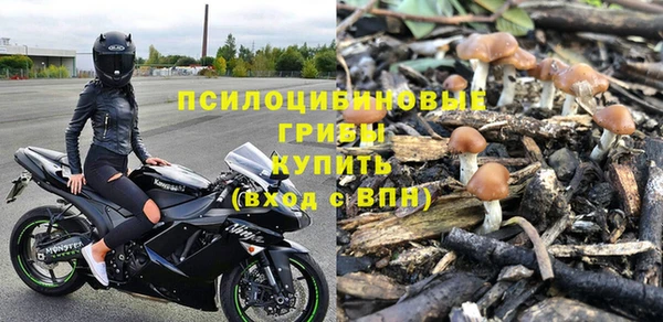 молекула духа Нефтекумск