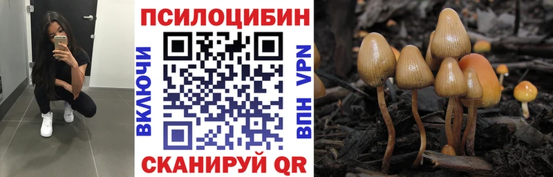MEGA маркетплейс  Межгорье  Псилоцибиновые грибы мухоморы 