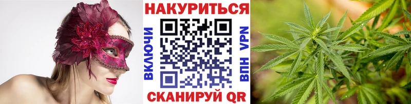 Шишки марихуана White Widow Межгорье